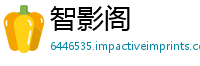 智影阁